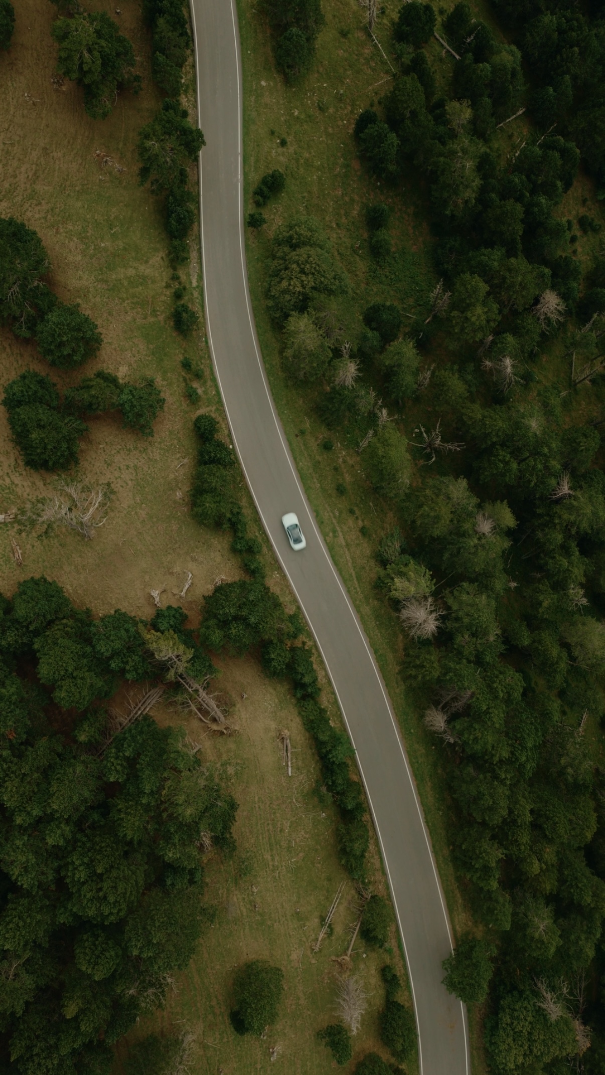Top Down M2 - 2